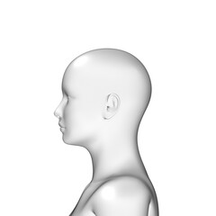 3d female human head, woman body