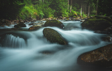Forest stream running over mossy rocks. Long exposure.