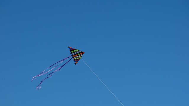 Flying kite against background blue sky on sunny day in summer. Colored kite with an hangs in air.Tail of kite sways in wind. Childhood. Freedom. Toy. Relax