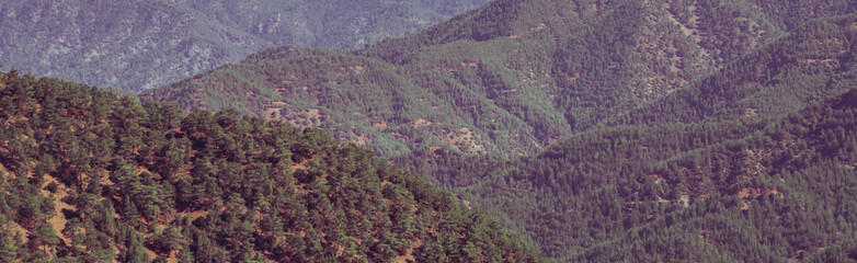 Mountain landscape. Wide panoramic view of mountains with pine forest