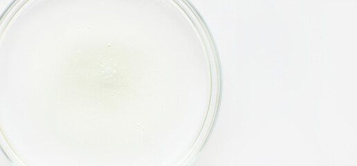 Obraz na płótnie Canvas Petri dish with liquid and small bubbles on a light background