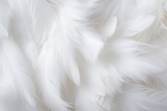 Background crafted from a delicate texture of white feathers, creating a soft and ethereal ambiance. Ai generated © twindesigner