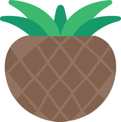 coconut, icon