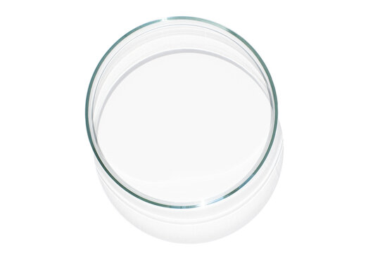 Empty Petri dish. With transparent bottom. on isolated transparent background
