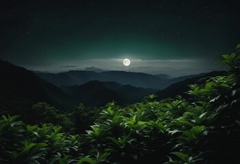 a full moon shines over the mountains and forest in the distance
