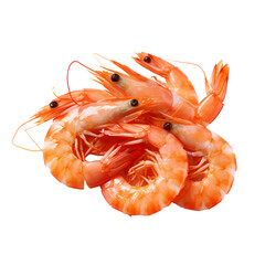 Shrimp on transparent background