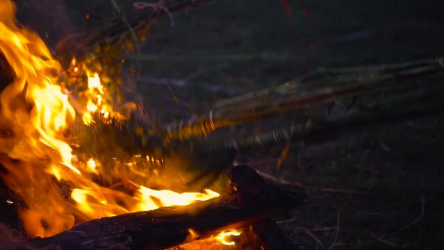 slow motion shot showing wheat, beans gram being roasted on fire in the harvest festival of holi lohri showing the victory of good over evil and a good crop