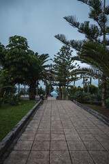 beautiful small green park at tropical Puerto de la Cruz, Tenerife