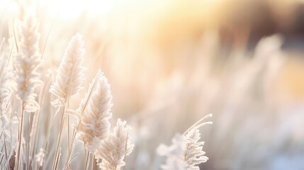 Close-up, hazy background image of hoarfrost outside