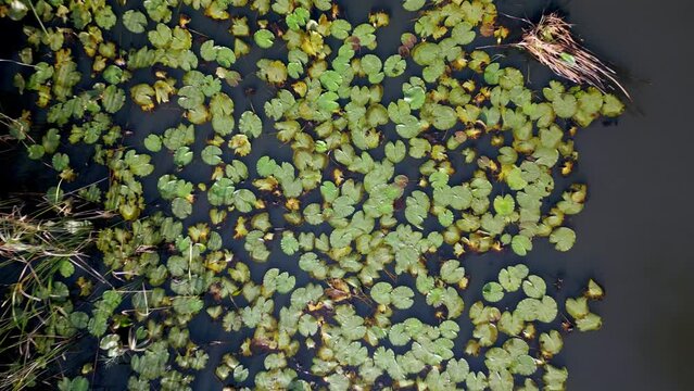Aerial view of Acarlar floodplain
