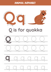 Tracing alphabet letters for kids. Animal alphabet. Q is for quokka.