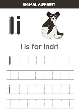 Tracing alphabet letters for kids. Animal alphabet. I is for indri.