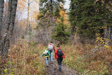 Fototapeta premium Hiking in the autumn forest, family recreation in nature, people with backpacks go to the forest, trekking in the mountains, autumn thaw.