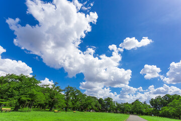 小金井公園　晴天の青空の下 (2023年夏)