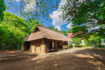 江戸東京たてもの園 夏の古民家と風景(2023年夏)