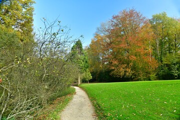 Fototapeta na wymiar Chemin entre pelouse et bois en automne au domaine du château de la Hulpe en Brabant Wallon 