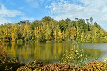 Fototapeta na wymiar La beauté bucolique des feuillage vert-dorés des arbres se reflétant dans les eaux de l'étang au domaine du château de la Hulpe 