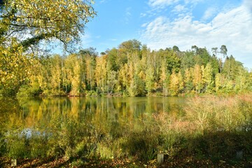Fototapeta na wymiar Paysage bucolique d'automne par les feuillages dorées des arbres autour du second étang au domaine du château de la Hulpe 