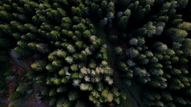 Sakarya Turkey Karagol Highland