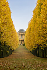 Allee aus herbstlichen Bäumen  im Schlosspark Sanssouci 