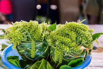 Fresh sea grapes at the market