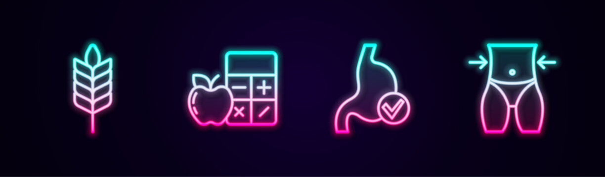 Set line Wheat, Calorie calculator, Human stomach health and Women waist. Glowing neon icon. Vector