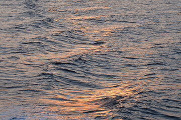 Sunset cruising on sea of Okhotsk