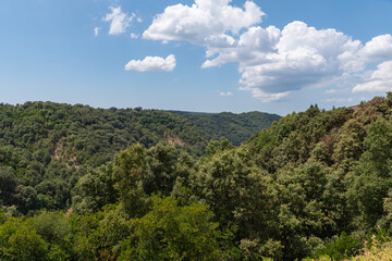 Fototapeta na wymiar Foloi oak forest in Peloponnese, Greece