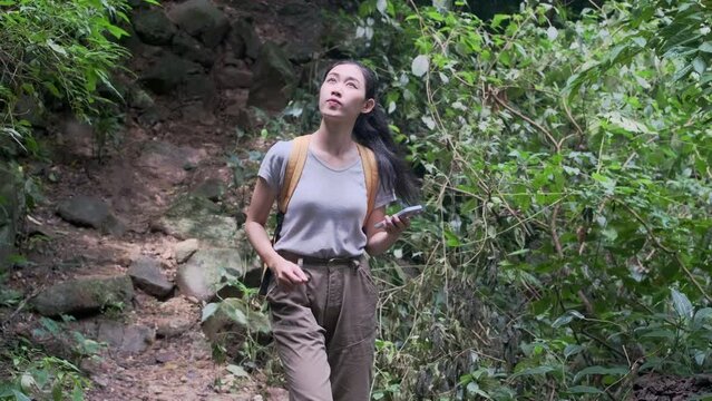 Female traveller using gps navigator app on smartphone in green forest