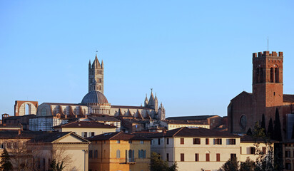 Fototapeta na wymiar Bell Tower and Cathedral of Siena in Italy at sunset