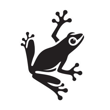 illustration of wild frog, vector of amphibians in nature, amphibian logos for commercial brands