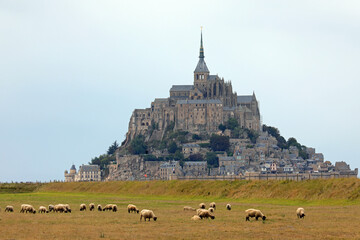 abbey of Mont Saint Michel in Northern France and Suffolk black headed sheep grazing
