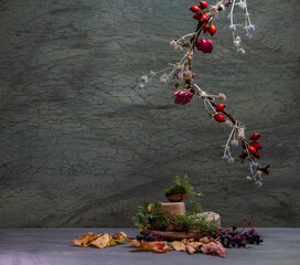 Ikebana of autumn flowers. Bonsai in a walnut shell.