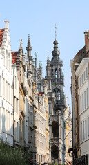 Fototapeta na wymiar many buildings of Brussels the capital of Belgium in Northern Europe