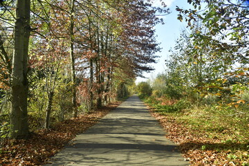Obraz premium Route de campagne en automne au domaine provincial de Bokrijk au Limbourg 