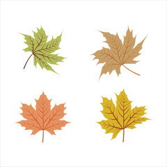 maple leaf set vector art