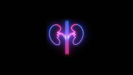Neon kidney icon in a line style for humans. symbol for the urinary system component.  kidney-line symbol.