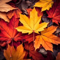 Naklejka na ściany i meble Autumn colors tree Leafs on black full background