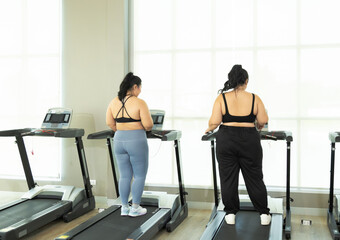 Fototapeta premium Two Asian overweight women running on treadmill in fitness club, healthy chubby female wearing sportswear exercising, stretching, and walking in gym, happy curvy girls in weight loss workout program
