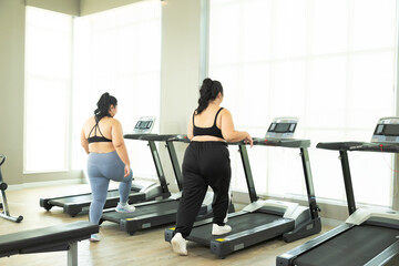 Two Asian overweight women running on treadmill in fitness club, healthy chubby female wearing sportswear exercising, stretching, and walking in gym, happy curvy girls in weight loss workout program