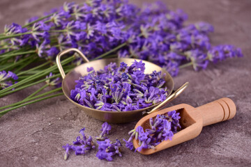 The season of harvesting lavender flowers. Medicinal plants.	