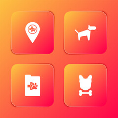 Set Location veterinary, Dog, Clinical record pet and and bone icon. Vector