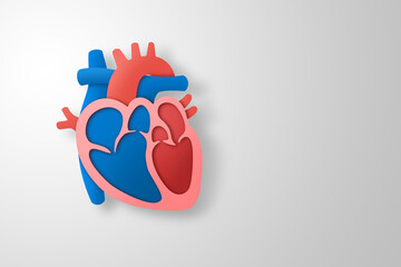 Paper craft of the human heart on white background. Cross section of human heart for health care concept.
