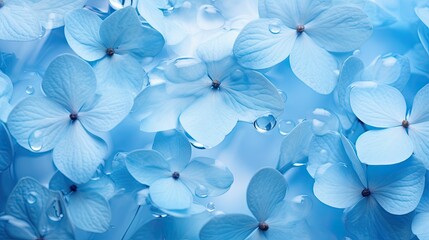 A cluster of hydrangea petals on a smooth glass surface. 