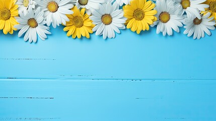 Vibrant daisies spread on a sky blue painted wooden surface. Copy space for text. Voucher card, invitation. 