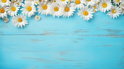 Vibrant daisies spread on a sky blue painted wooden surface. Copy space for text. Voucher card, invitation. 