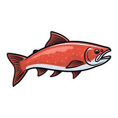 salmon isolated vector illustration