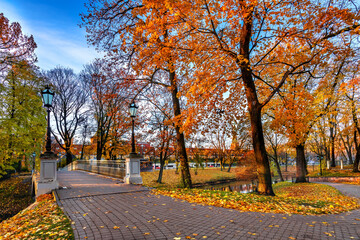 Entrance to pedestrian bridge in autumn old park