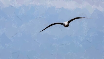 flying bird in the sky