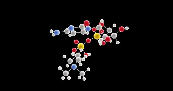 Citicoline molecule, rotating 3D model of cytidine diphosphate-choline, looped video with alpha channel